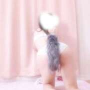 ヒメ日記 2026/02/19 21:40 投稿 ありす アート姫