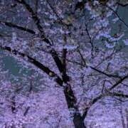 ヒメ日記 2026/04/05 20:31 投稿 ありす アート姫