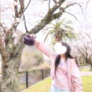 ヒメ日記 2026/04/28 14:05 投稿 ありす アート姫