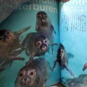 ヒメ日記 2024/12/17 09:59 投稿 あけみ 奥様の実話 梅田店