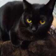 ヒメ日記 2025/01/11 16:02 投稿 あけみ 奥様の実話 梅田店