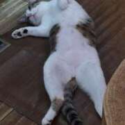 ヒメ日記 2025/02/24 21:19 投稿 あけみ 奥様の実話 梅田店