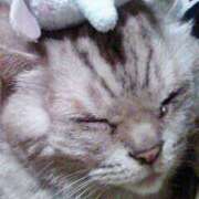 ヒメ日記 2026/02/23 00:14 投稿 あけみ 奥様の実話 梅田店