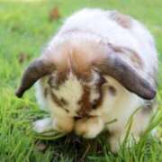 せな ごめんなさい😭 ビデオdeはんど 熊本校