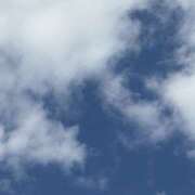 ヒメ日記 2025/11/19 10:19 投稿 あんな ハニープラザ（ユメオト）