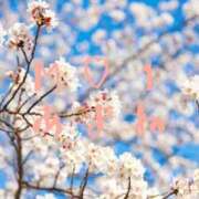 ヒメ日記 2026/04/05 15:33 投稿 新人☆あまね M-1福島壱萬店（えむわんふくしまいちまんてん）