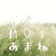 ヒメ日記 2026/04/14 12:06 投稿 新人☆あまね M-1福島壱萬店（えむわんふくしまいちまんてん）