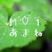 ヒメ日記 2026/04/16 13:18 投稿 新人☆あまね M-1福島壱萬店（えむわんふくしまいちまんてん）