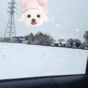 すず ☃️❄️ ラブリップ所沢