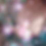 ヒメ日記 2025/08/26 16:21 投稿 ひろ さくらん