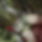 ヒメ日記 2025/09/02 16:26 投稿 ひろ さくらん