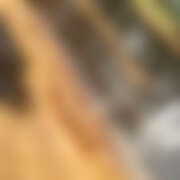 ヒメ日記 2025/09/07 19:00 投稿 ひろ さくらん