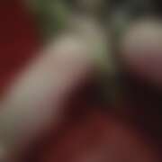 ヒメ日記 2025/09/17 18:51 投稿 ひろ さくらん