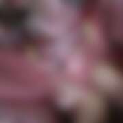 ヒメ日記 2025/09/28 19:57 投稿 ひろ さくらん