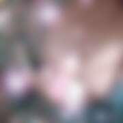 ヒメ日記 2026/04/09 16:40 投稿 ひろ さくらん