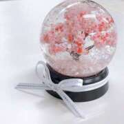 ヒメ日記 2026/04/27 20:46 投稿 ひろ さくらん