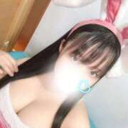 めい うさぎさん🐰 ときめき女学院