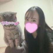 ヒメ日記 2025/11/08 12:57 投稿 みのり Grace東京