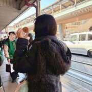 ヒメ日記 2025/12/09 12:57 投稿 みのり Grace東京