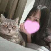 ヒメ日記 2025/12/18 12:57 投稿 みのり Grace東京