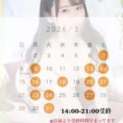 みのり 3月シフト〜🕊️ Grace東京