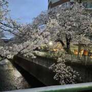 ヒメ日記 2026/04/04 09:37 投稿 みのり Grace東京