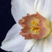 ヒメ日記 2024/12/31 12:08 投稿 くるみ 奥様の実話 梅田店