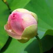 ヒメ日記 2025/02/26 13:01 投稿 くるみ 奥様の実話 梅田店