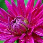 ヒメ日記 2025/03/21 13:01 投稿 くるみ 奥様の実話 梅田店