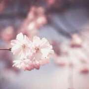 ヒメ日記 2025/04/05 11:01 投稿 くるみ 奥様の実話 梅田店