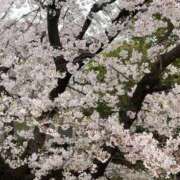 ヒメ日記 2025/04/08 13:01 投稿 くるみ 奥様の実話 梅田店