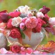 ヒメ日記 2025/04/11 13:02 投稿 くるみ 奥様の実話 梅田店