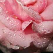 ヒメ日記 2025/04/25 13:02 投稿 くるみ 奥様の実話 梅田店