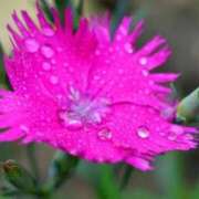 ヒメ日記 2025/05/03 11:02 投稿 くるみ 奥様の実話 梅田店