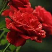 ヒメ日記 2025/05/08 13:01 投稿 くるみ 奥様の実話 梅田店