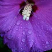 ヒメ日記 2025/05/09 13:02 投稿 くるみ 奥様の実話 梅田店