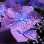 ヒメ日記 2025/05/17 11:02 投稿 くるみ 奥様の実話 梅田店