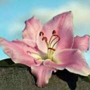 ヒメ日記 2025/05/28 13:01 投稿 くるみ 奥様の実話 梅田店