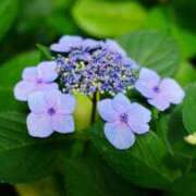 ヒメ日記 2025/06/10 13:01 投稿 くるみ 奥様の実話 梅田店