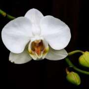 ヒメ日記 2025/07/02 13:01 投稿 くるみ 奥様の実話 梅田店