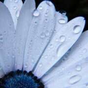 ヒメ日記 2025/07/09 13:01 投稿 くるみ 奥様の実話 梅田店