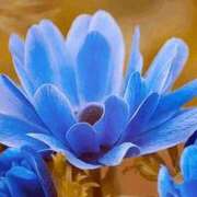 ヒメ日記 2025/07/12 11:01 投稿 くるみ 奥様の実話 梅田店