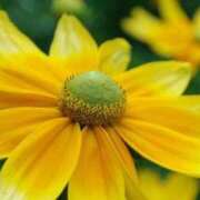 ヒメ日記 2025/08/01 13:01 投稿 くるみ 奥様の実話 梅田店