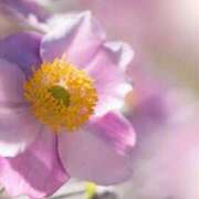 ヒメ日記 2025/08/02 11:01 投稿 くるみ 奥様の実話 梅田店