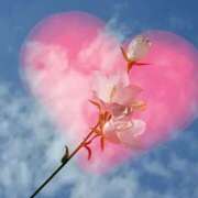 ヒメ日記 2025/08/10 17:45 投稿 くるみ 奥様の実話 梅田店