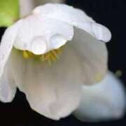 ヒメ日記 2025/08/23 11:01 投稿 くるみ 奥様の実話 梅田店