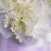 ヒメ日記 2025/08/27 13:00 投稿 くるみ 奥様の実話 梅田店