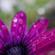 ヒメ日記 2025/09/05 13:00 投稿 くるみ 奥様の実話 梅田店