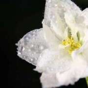 ヒメ日記 2025/09/11 13:00 投稿 くるみ 奥様の実話 梅田店