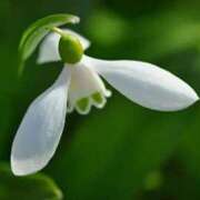 ヒメ日記 2025/09/19 13:01 投稿 くるみ 奥様の実話 梅田店